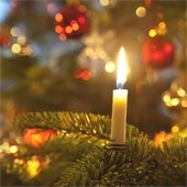 Candle in a Christmas tree