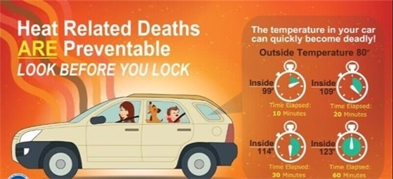 Hot Car Facts Banner