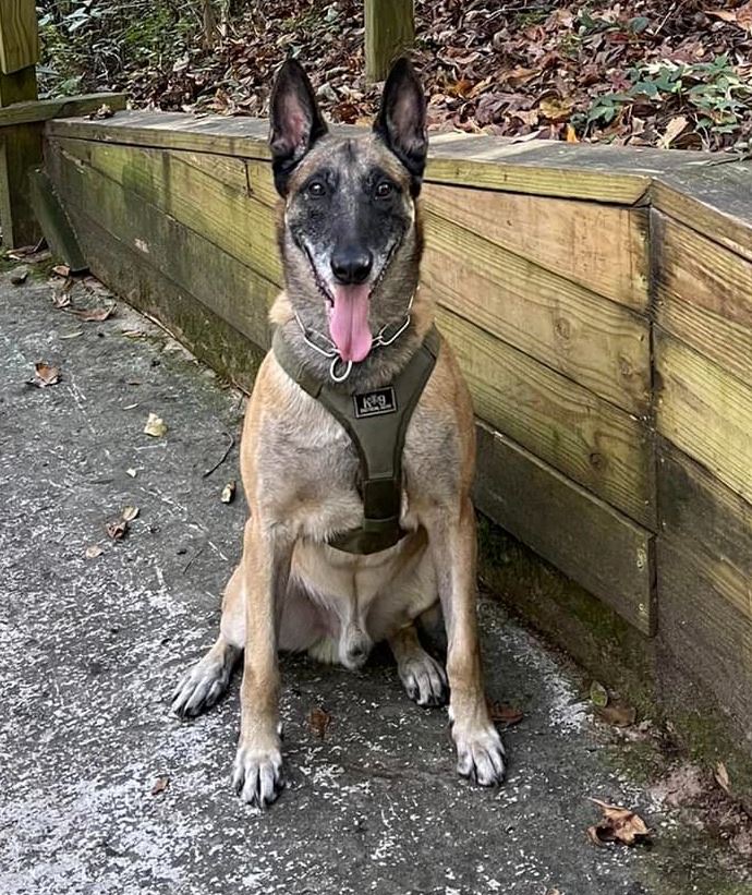 Harry in front of beware of alligators sign